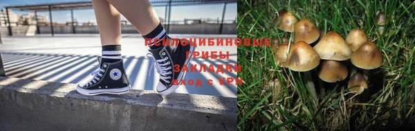 амф Абаза