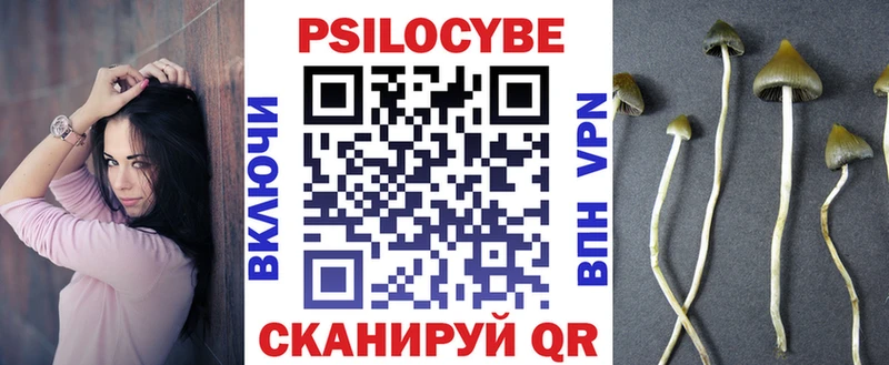 Псилоцибиновые грибы прущие грибы дарк нет Telegram Абинск